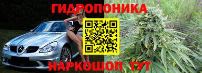 PSILOCYBIN Изобильный