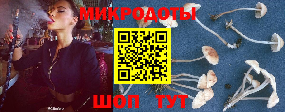Крымск  Галлюциногенные грибы MAGIC MUSHROOMS  Галлюциногенные грибы ЛСД  Вход с VPN 